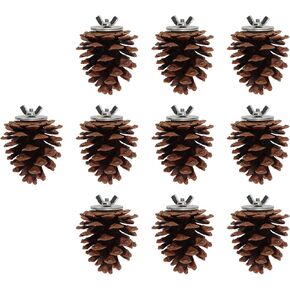 10pcs Bird Bite Pine Cones with Fixing Nuts, Pine Cone Molar Toy for Parakeet Cockatiel Conure Finch Budgie Macaw, Promotes Mouth and Claw Health, Versatile Cage Decoration