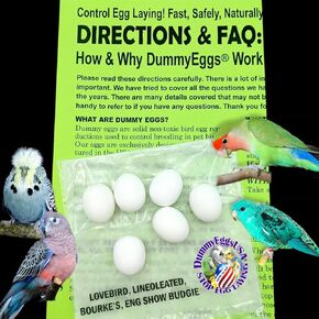 6 Lovebird (Agapornis) Plastic Dummy Bird Eggs Stop Egg Brooding Laying! Realistic Nontoxic 7/8" x 3/4" (22 x 18.5mm) DE Brand USA