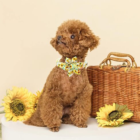 Dog Collar - Rugby with Flower Dog Collar Flower for Dogs Flower Pet Collar Adjustable Dog Collar Girl Boy Dog Collar for Small Dogs in Kuwait