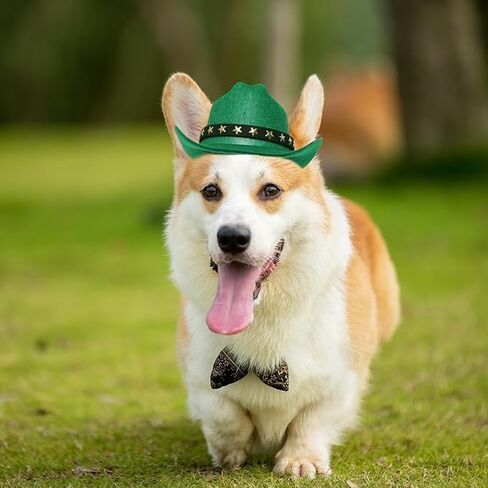 قبعة رعاة البقر للحيوانات الأليفة، قبعة تنكرية للكلاب والقطط، ستة ألوان (بني، متوسط) in Saudi Arabia