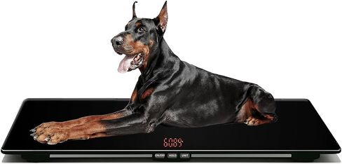 Large Breed Dog Weight Scale, Max Capacity 220 lbs, Surface, Easy Read LCD, Tempered Glass Platform, Includes Comfort Cushion, Ideal for Families and Veterinary Offices, XL(31.5inches) in Saudi Arabia