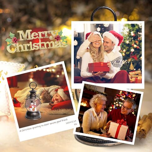 Christmas Snow Globes, Cardinal Christmas Snow Lantern with 8 Songs, 6H Timer Battery & USB Powered Glitter Music Box for Christmas Table Decorations Home Decor in Saudi Arabia