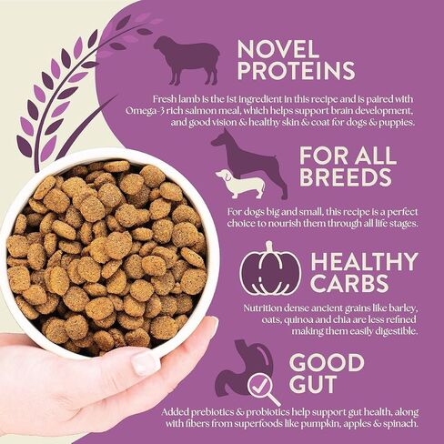 Earthborn Holistic Unrefined Roasted Lamb Recipe with Ancient Grains & Superfoods Dry Dog Food (4 Pounds) in Saudi Arabia