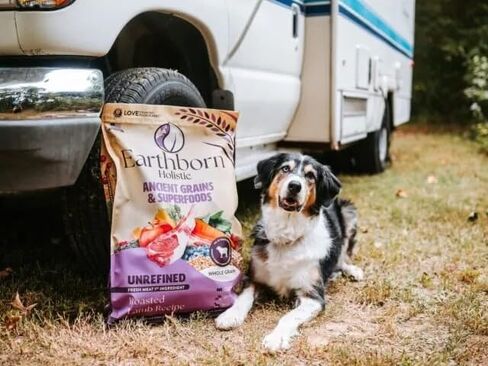 Earthborn Holistic Unrefined Roasted Lamb Recipe with Ancient Grains & Superfoods Dry Dog Food (4 Pounds) in Saudi Arabia