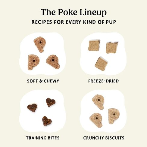 Poke's Birthday Cake Dog Treats – Crunchy Biscuits, Peanut Butter & Vanilla Recipe – Limited Ingredient Natural Dog Treats Made in The USA – Wheat-Free, 8oz in Saudi Arabia