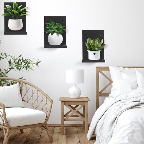 PHOENANCEE Small Wall Shelves,Mini Floating Shelf Set of 4,Plants Hanging Storage Display Ledges Wooden Decor Indoor for Living Room Bedroom Bathroom Kitchen Office Decoration（Carbonized Brown） in Saudi Arabia