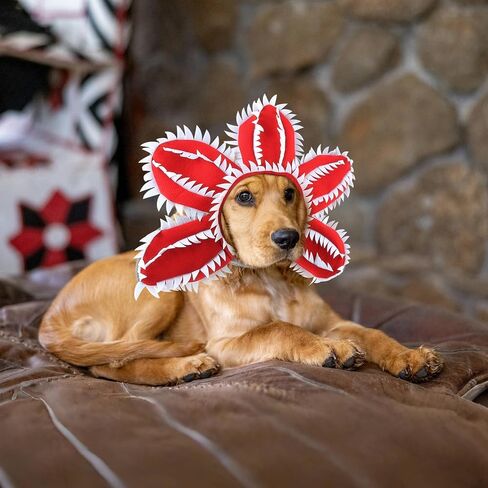 HOTUMN Dog Halloween Costume - Halloween Pet Scary Flower Hat Dog Demon Costumes Funny Hat Headband Soft Monster Cosplay Outfit and Cute Dog Decoration for Large Dog (Large) in Saudi Arabia