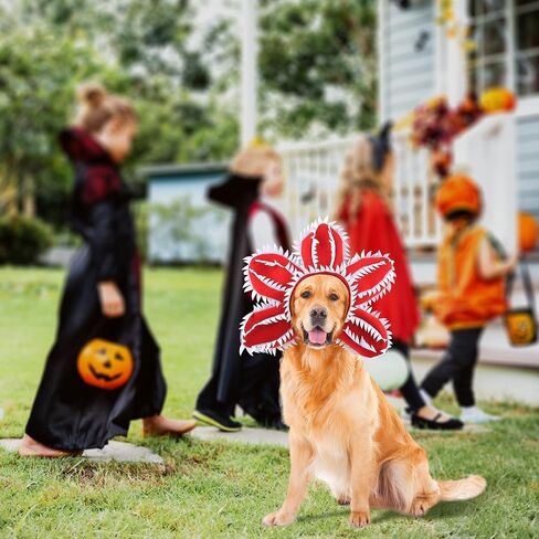 HOTUMN Dog Halloween Costume - Halloween Pet Scary Flower Hat Dog Demon Costumes Funny Hat Headband Soft Monster Cosplay Outfit and Cute Dog Decoration for Large Dog (Large) in Saudi Arabia