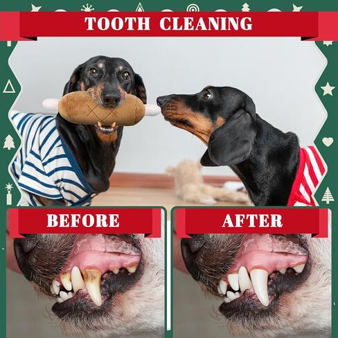 Talltalk 18 جهاز كمبيوتر شخصى الكلب عيد الميلاد تخزين مع اللعب جرو مضغ اللعب مجموعة للكلاب الصغيرة المتوسطة صار عيد الميلاد جرو مضغ اللعب الملونة التفاعلية تدريب الكلاب صحة الأسنان حبل القطن اللعب هدايا عيد الميلاد in Kuwait