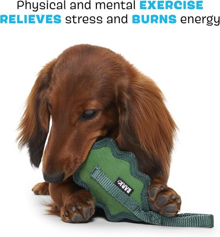 Barkbox BARK Green Chew Leaf Dog Toy for Small Dogs – 2-in-1 Design with Mixed Textures and Surprises, Perfect for Tough Chewing and Playful Pups in Saudi Arabia