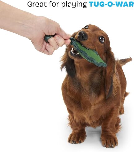 Barkbox BARK Green Chew Leaf Dog Toy for Small Dogs – 2-in-1 Design with Mixed Textures and Surprises, Perfect for Tough Chewing and Playful Pups in Saudi Arabia