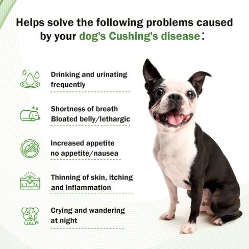 Cushings Treatment for Dogs - Adrenal Support Supplements Drops Cushing's Disease Relief, Cushings Treatment for Dogs, Adrenal Balance, and Improved Cortisol Balance, Antioxidant Support - 59ML in Kuwait