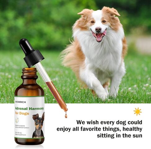 Cushings Treatment for Dogs - Adrenal Support Supplements Drops Cushing's Disease Relief, Cushings Treatment for Dogs, Adrenal Balance, and Improved Cortisol Balance, Antioxidant Support - 59ML in Kuwait