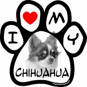 5-1/2-Inch by 5-1/2-Inch Car Magnet Picture Paw, Chihuahua