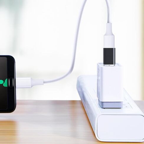 MINCHEN 10 محولات USB C إلى USB3.0، وصلة Type C أنثى إلى USB OTG لأجهزة Mac وأجهزة الكمبيوتر المحمولة والهواتف الذكية والشواحن وبنوك الطاقة والمزيد من الأجهزة (10، أسود + فضي) in Saudi Arabia