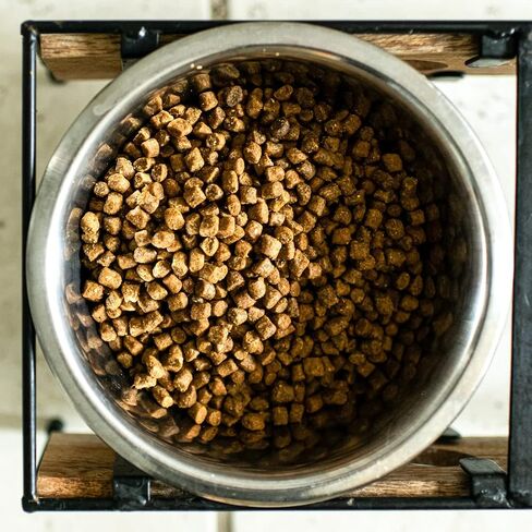 Wild Select Seafood Dog Food | No Chicken or Other Animal by-Products | Rich in Omega 3 & 6 Fatty Acids | Sustainably Sourced Wild Caught Fish | Made in The USA | 11lb Bag in Saudi Arabia