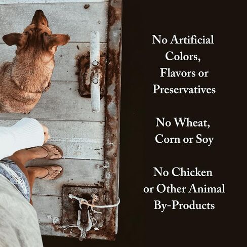 Wild Select Seafood Dog Food | No Chicken or Other Animal by-Products | Rich in Omega 3 & 6 Fatty Acids | Sustainably Sourced Wild Caught Fish | Made in The USA | 11lb Bag in Saudi Arabia