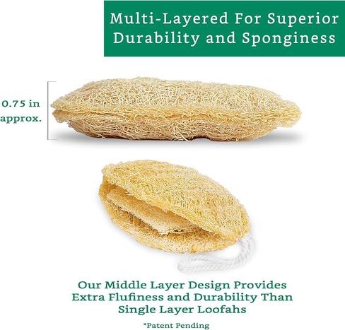Natural Loofah Exfoliating Sponge (3 Pack) - Loofa Body Scrubber - Loofah Sponge - Loofah Exfoliating Body Scrubber - Organic Loofah - Shower Luffa Sponges - Exfoliating Loofah - Biodegradable Loofah in Saudi Arabia
