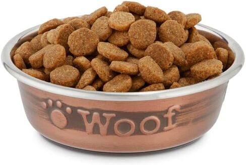 EveryYay Dining in Copper Woof Stainless Steel Dog Bowl 1 Cup in Saudi Arabia