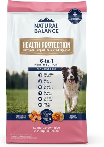 Natural Balance Health Protection Dry Dog Food – Whole Body Health, Easy on Digestion Dog Food Made with Salmon, Brown Rice & Pumpkin for Dogs - 22lbs. in Kuwait