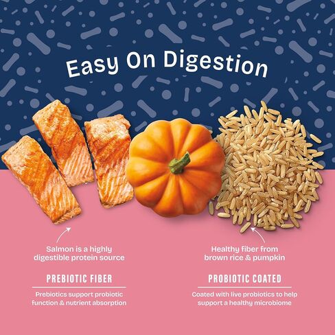 Natural Balance Health Protection Dry Dog Food – Whole Body Health, Easy on Digestion Dog Food Made with Salmon, Brown Rice & Pumpkin for Dogs - 22lbs. in Kuwait