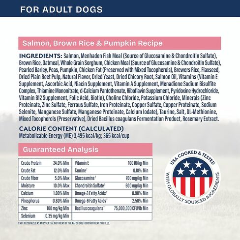 Natural Balance Health Protection Dry Dog Food – Whole Body Health, Easy on Digestion Dog Food Made with Salmon, Brown Rice & Pumpkin for Dogs - 22lbs. in Kuwait