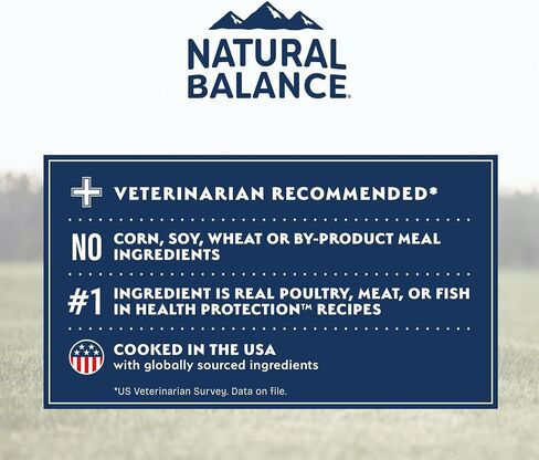 Natural Balance Health Protection Dry Dog Food – Whole Body Health, Easy on Digestion Dog Food Made with Salmon, Brown Rice & Pumpkin for Dogs - 22lbs. in Kuwait