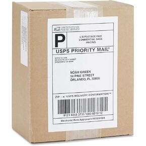 Business Source 26161 Mailing Laser Labels Perm Adhesive 5-1/2-Inch x8-1/2-Inch White