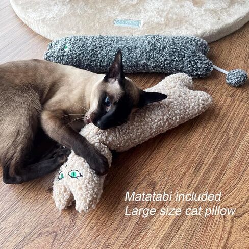 Catnip Matatabi Silvervine Toys for Cats & Kittens,Cat Toys for Indoor Cats，Cat Kicker Toy（Fruit*4） in Saudi Arabia