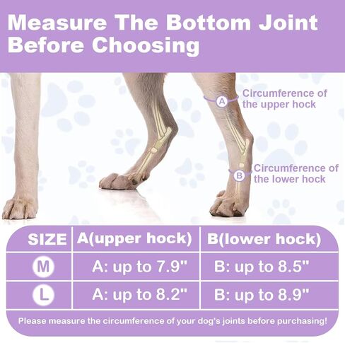 IEhotti Dog Leg Brace for Rear Leg/Hock/Ankle, Dog Hip Brace for Bottom Joint Post-Operative Recovery, Strong Support Help, Dog Braces for Torn ACL CCL Leg Injuries, 1 Pair, Large in Saudi Arabia