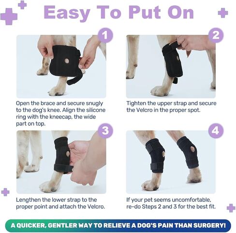 IEhotti Dog Leg Brace for Rear Leg/Hock/Ankle, Dog Hip Brace for Bottom Joint Post-Operative Recovery, Strong Support Help, Dog Braces for Torn ACL CCL Leg Injuries, 1 Pair, Large in Saudi Arabia