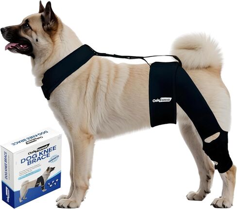 Oak Forest Dog Knee Brace, Collar & Leash Set | Dog Knee Brace for Torn ACL Hind Leg & Front Leg | Comprehensive Support for Optimal Comfort & Stability for All Dogs | Size: S M L (M) in Saudi Arabia