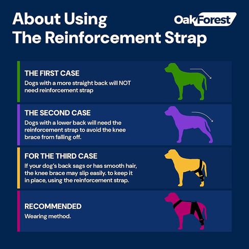 مجموعة دعامة وطوق ومقود للركبة للكلاب من أوك فورست | دعامة ركبة الكلب لتمزق الرباط الصليبي الأمامي والساق الخلفية والساق الأمامية | دعم شامل لتوفير الراحة والاستقرار الأمثل لجميع الكلاب | الحجم: SML (M) in Kuwait