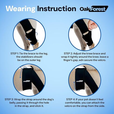 Oak Forest Dog Knee Brace, Collar & Leash Set | Dog Knee Brace for Torn ACL Hind Leg & Front Leg | Comprehensive Support for Optimal Comfort & Stability for All Dogs | Size: S M L (M) in Saudi Arabia