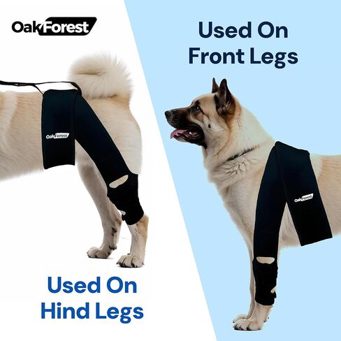 Oak Forest Dog Knee Brace, Collar & Leash Set | Dog Knee Brace for Torn ACL Hind Leg & Front Leg | Comprehensive Support for Optimal Comfort & Stability for All Dogs | Size: S M L (M) in Saudi Arabia