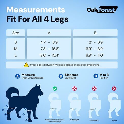 Oak Forest Dog Knee Brace, Collar & Leash Set | Dog Knee Brace for Torn ACL Hind Leg & Front Leg | Comprehensive Support for Optimal Comfort & Stability for All Dogs | Size: S M L (M) in Saudi Arabia