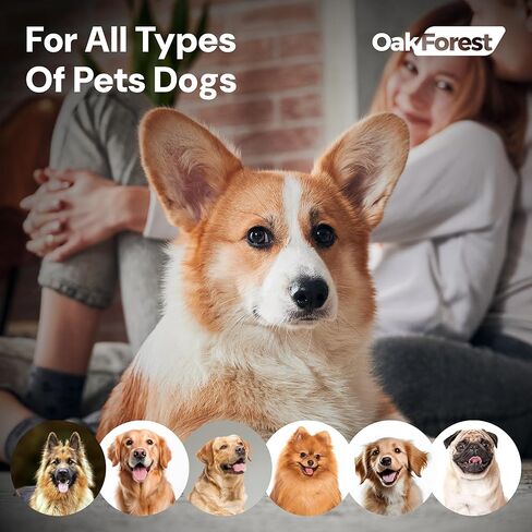 مجموعة دعامة وطوق ومقود للركبة للكلاب من أوك فورست | دعامة ركبة الكلب لتمزق الرباط الصليبي الأمامي والساق الخلفية والساق الأمامية | دعم شامل لتوفير الراحة والاستقرار الأمثل لجميع الكلاب | الحجم: SML (M) in Kuwait