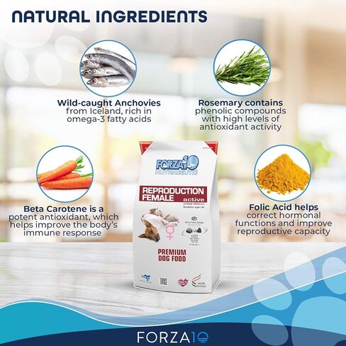Forza10 Active Reproduction, Female, Dry Dog Food, 18 Pounds, Helps Reproductive Issues, Breeding, Male Dog Infertility and mating Issues in All Dog Breeds. in Saudi Arabia