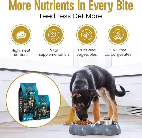 LEGACY Premium Grain-Free Dog Food | Northern Water Fish Dry Dog Food Recipe | Nutritious Salmon Formula Dog Food for All Life Stages | 25 lb in Saudi Arabia