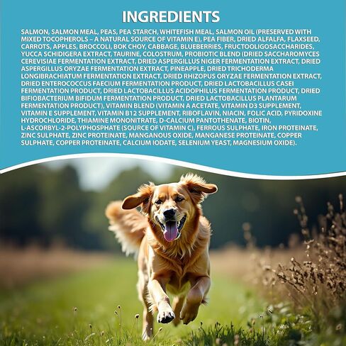 LEGACY Premium Grain-Free Dog Food | Northern Water Fish Dry Dog Food Recipe | Nutritious Salmon Formula Dog Food for All Life Stages | 25 lb in Saudi Arabia