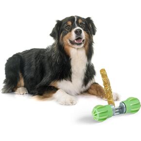 بولت ستيك بولت للكلاب، حامل مكافآت الكلاب، تمسك حتى آخر قضمة - ثابت بشكل آمن للمساعدة في منع الاختناق، جهاز أمان للكلاب - غطاء من السيليكون لحماية الأرضية وتقليل الضوضاء (وردي) in Kuwait