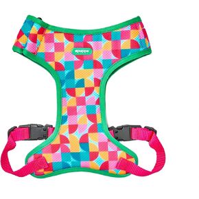 Adjustable Dog Harness - Easy On and Off with Durable Clasp, High-Density Nylon Material, Personalized Cute Pattern for Stylish boy and Girl Dogs (Summer Vibe, XSmall(Chest:13"-16"))