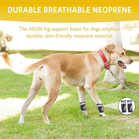 AGON Dog Front Leg Brace Pair with Metal Strings and Reflective Wraps Paw Compression Wrap for Canine Protects Wounds Brace Heals and Prevents Injuries and Sprains and Helps with Loss of K9 Stability in Saudi Arabia