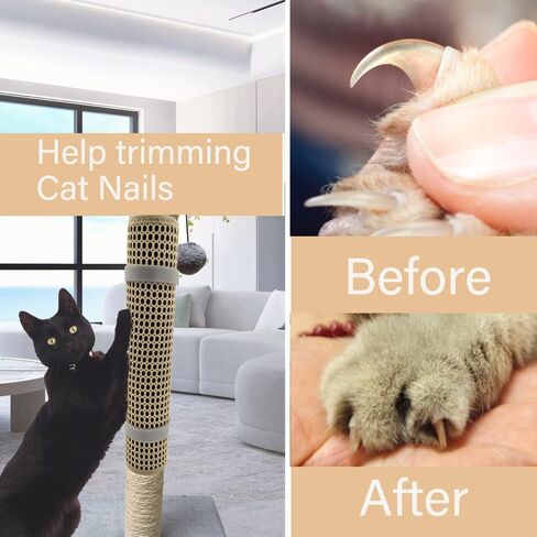 Cat Nail File Scratcher Wrapped Around a Cat Scratching Post, Cat Scratch That Files Nails with 80 Aluminum Oxide Grit, Cat Nail File Can Help to Trim Cat's Nails and Protect Scratch Post in Saudi Arabia