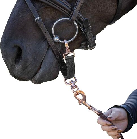 حزام ZACKY ROSE Lunging BIT من النايلون لرياضة ركوب الخيل - مصنوع بواسطة راكبي الدراجات، للراكبين - أسود in Kuwait
