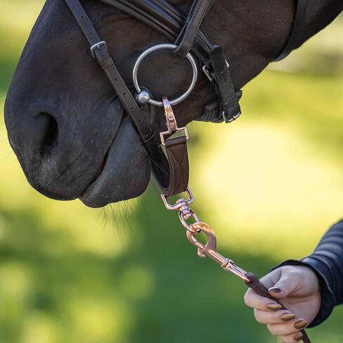 حزام ZACKY ROSE Lunging BIT من النايلون لرياضة ركوب الخيل - مصنوع بواسطة راكبي الدراجات، للراكبين - أسود in Kuwait