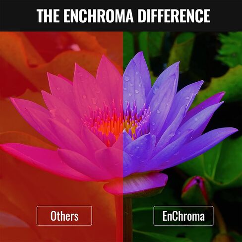 Enchroma Glasses - Panoramic - Color Correcting & Enhancing Glasses Outdoor Use for Deutan and Protan Color Blindness in Saudi Arabia