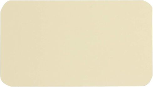 Penta Angel 100 Pcs Mini Paper Blank Gift Notes Cards DIY Craft Small Word Business Message Cards (White) in Kuwait