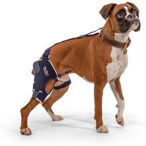 Balto Jump CCL Brace – Dog Knee Brace – Brace with Aluminum Splints – Pre/Post Surgery Support Helps Prevent New Injuries – Right Leg, Medium