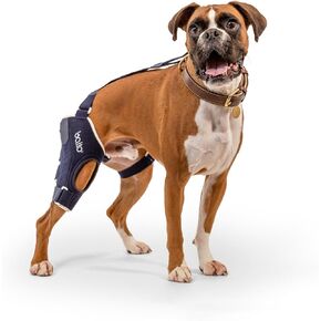Balto Jump CCL Brace – Dog Knee Brace – Brace with Aluminum Splints – Pre/Post Surgery Support Helps Prevent New Injuries – Right Leg, Medium
